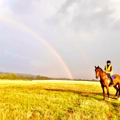 A rider out with an Elysian horse, with a rainbow overhead