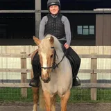 Sarah, Equine Groom