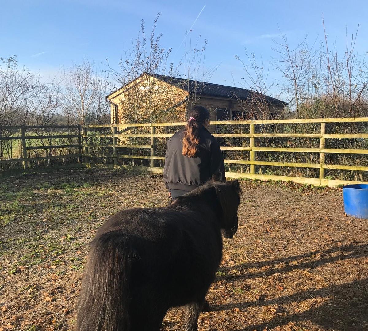A young person, back turned, standing beside a pony in a paddock