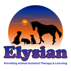 Elysian AAI Logo