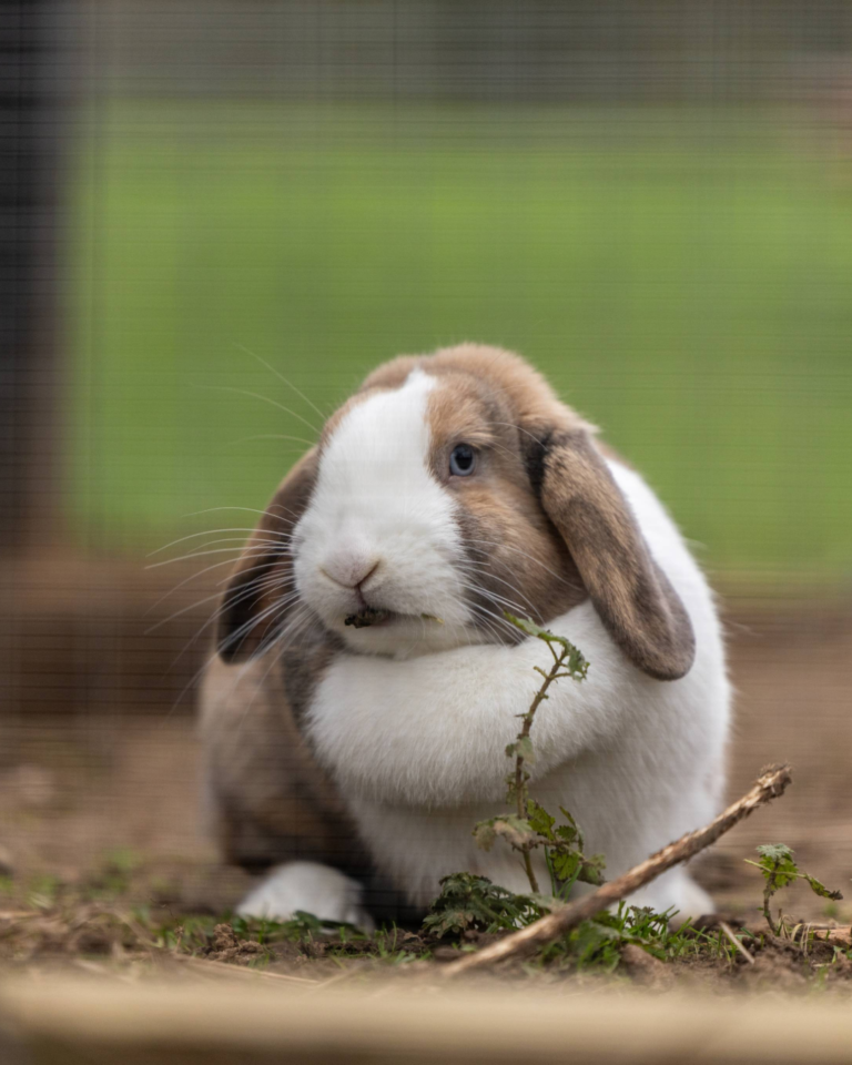 Parties and Celebrations Stock Photos-10