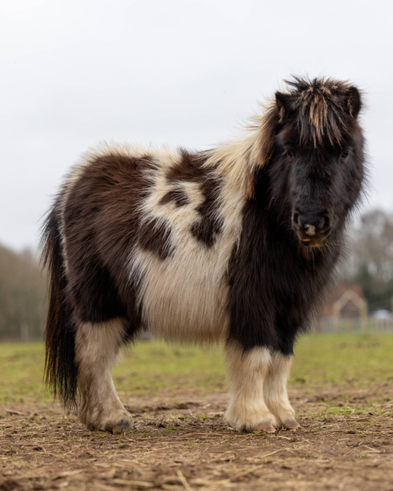 Parties and Celebrations Stock Photos-11