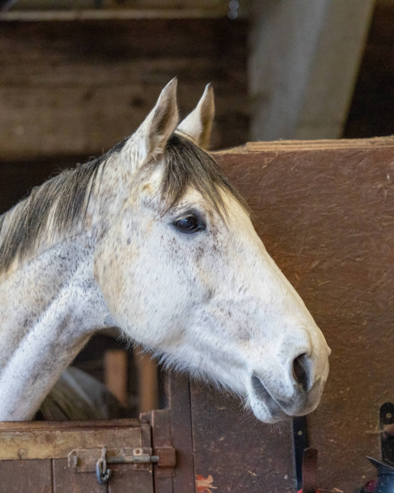 Parties and Celebrations Stock Photos-7