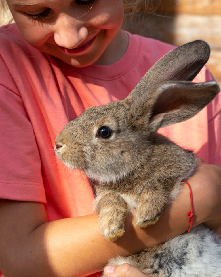 Parties and Celebrations Stock Photos-7